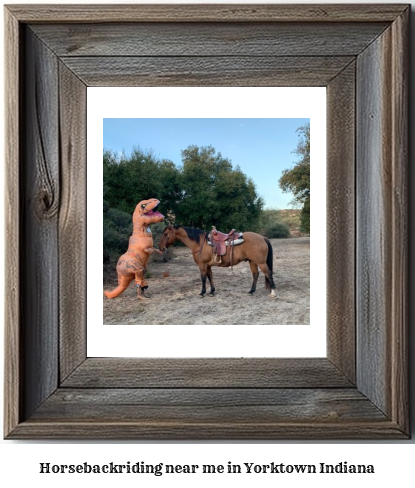 horseback riding near me in Yorktown, Indiana